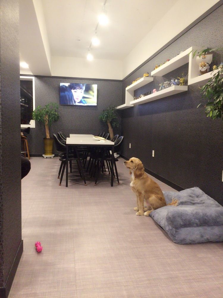 Mozzihostel Busan Station Екстериор снимка